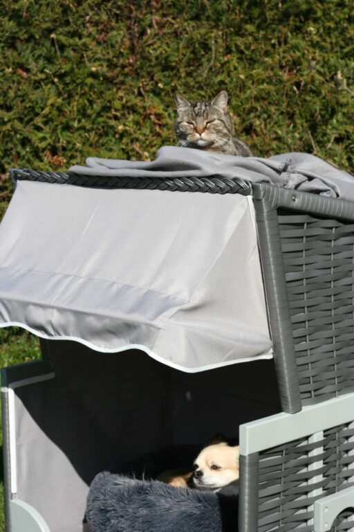 Hundestrandkorb und Katzenstrandkorb