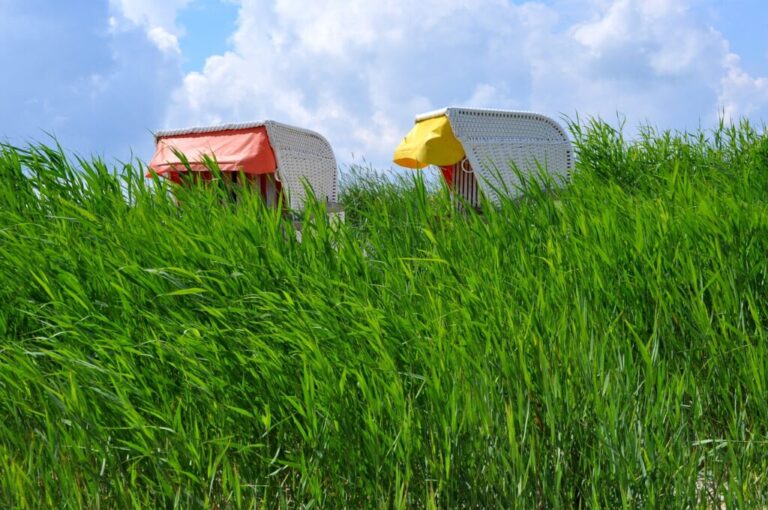Strandkorb im Gras versteckt