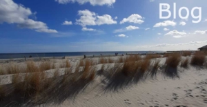 Strandkorb Blog