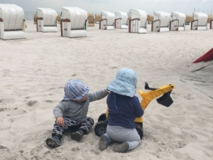 kleinen Strandkorbexperten